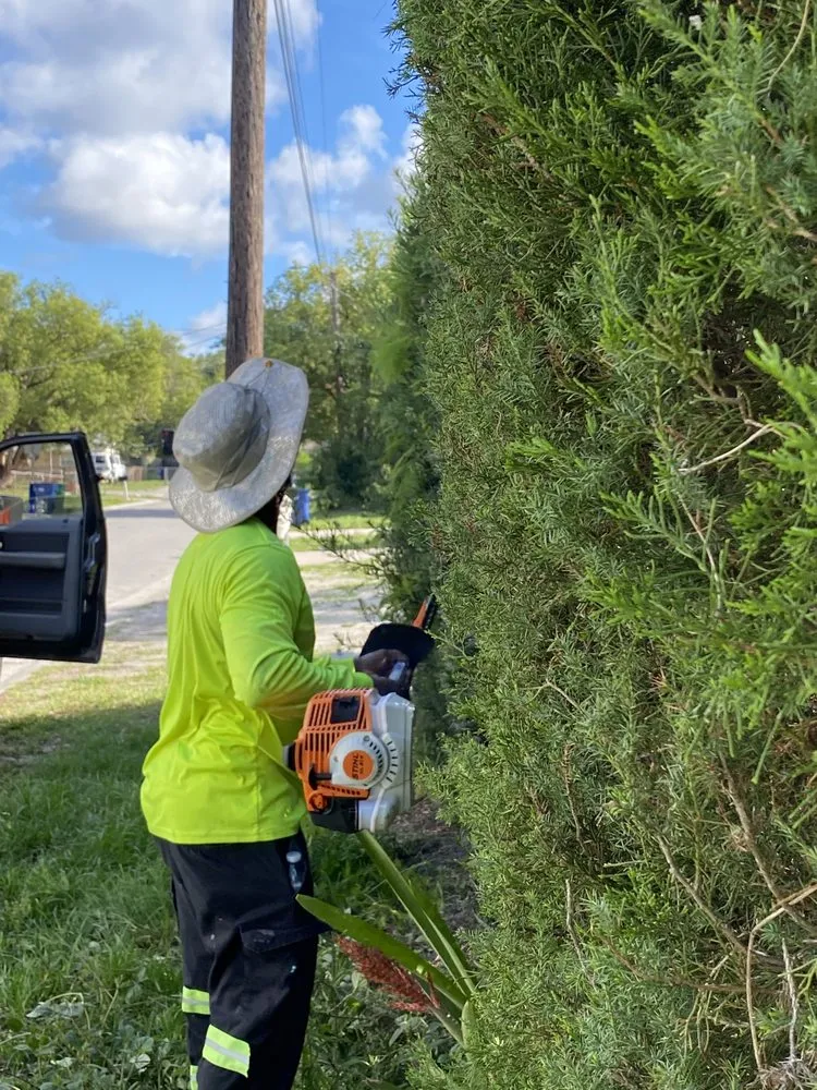 Local landscape installation experts serving Tampa, FL - AAIM Pro Lawns