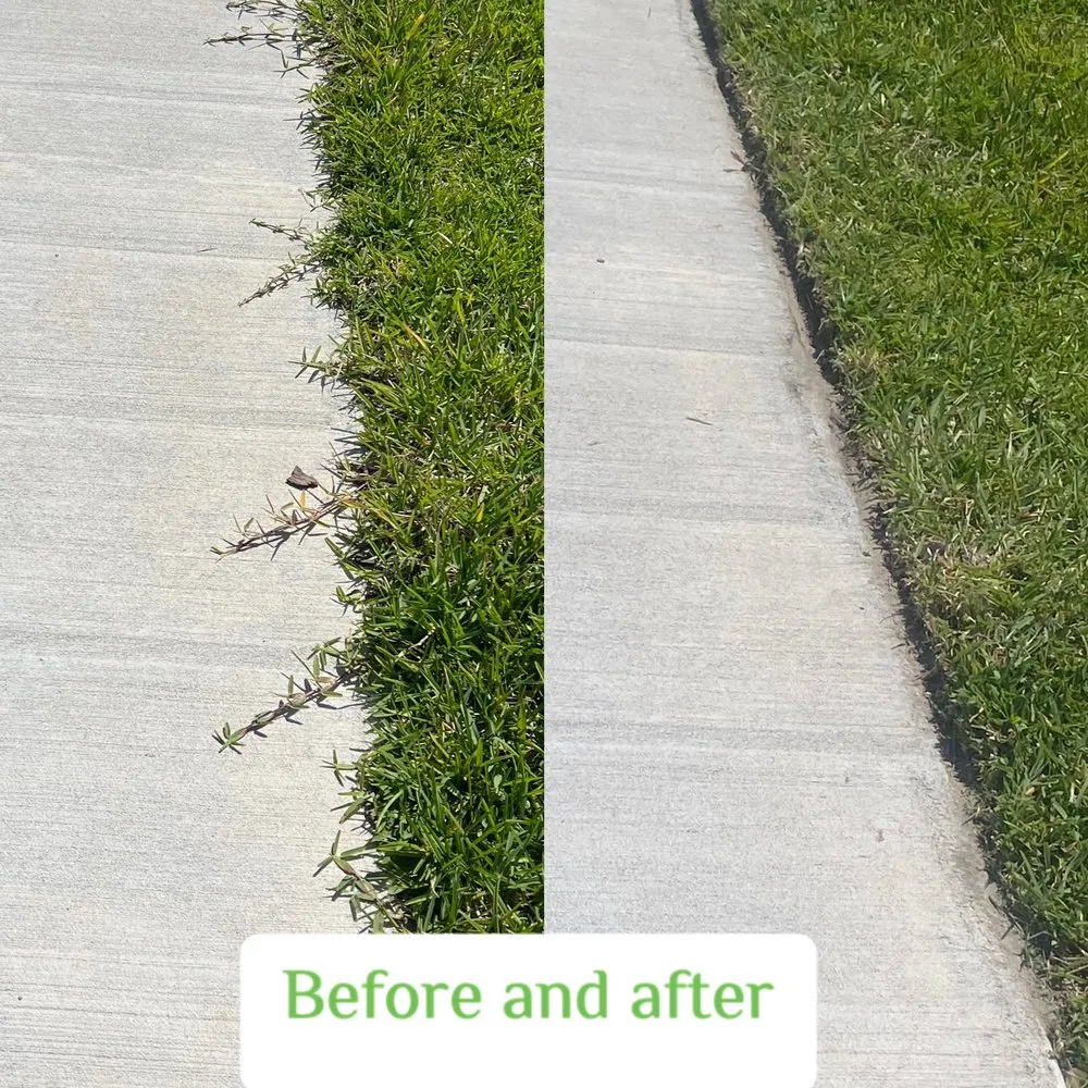 Custom landscape installation for homes across Tampa, FL - AAIM Pro Lawns