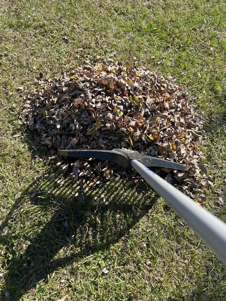 Trusted outdoor landscaping in Tampa, FL - AAIM Pro Lawns