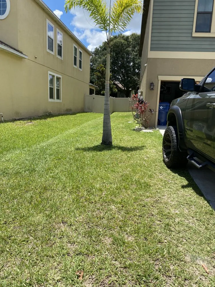 Reliable garden landscaping for beautiful yards in Tampa, FL by AAIM Pro Lawns