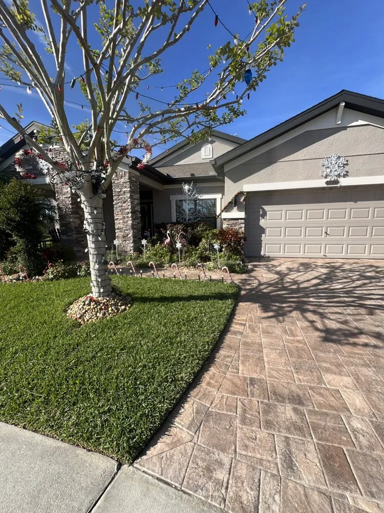 Local lawn care service in Tampa, FL - AAIM Pro Lawns