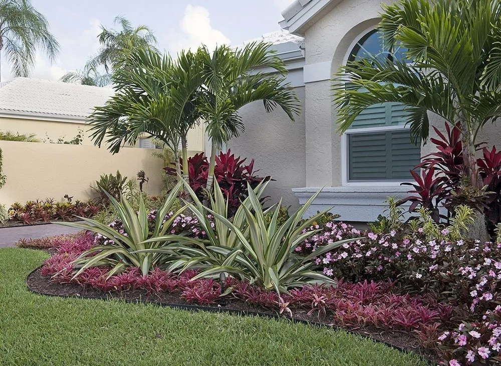 Trusted landscaping services for beautiful yards across Tampa, FL - AAIM Pro Lawns