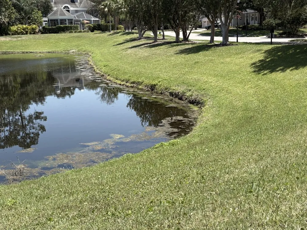 Affordable lawn mowing service for homes in Tampa, FL by AAIM Pro Lawns