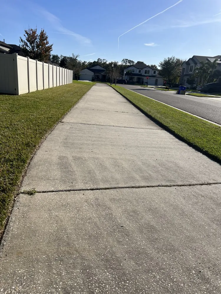 Expert outdoor landscaping experts serving Tampa, FL - AAIM Pro Lawns