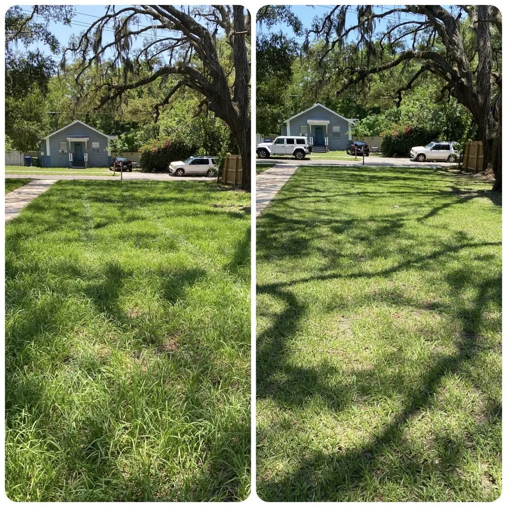 Professional landscape installation for residential properties across Tampa, FL - AAIM Pro Lawns