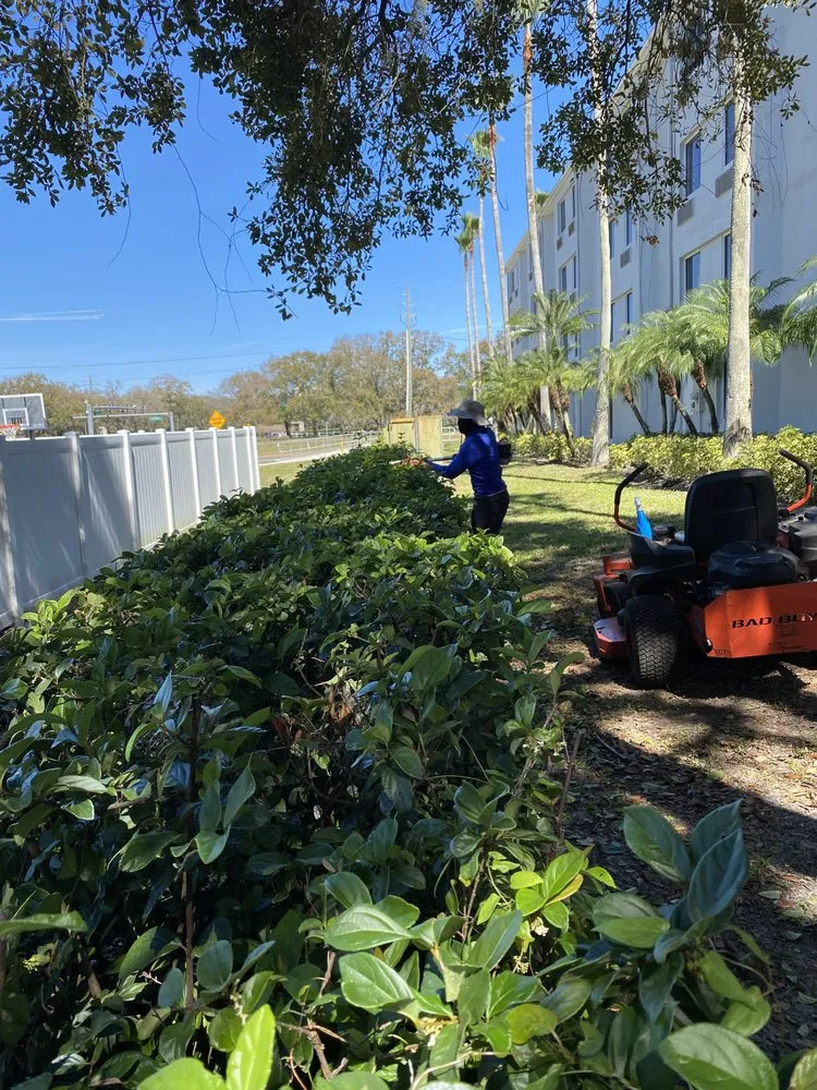 Trusted lawn mowing service in Tampa, FL - AAIM Pro Lawns