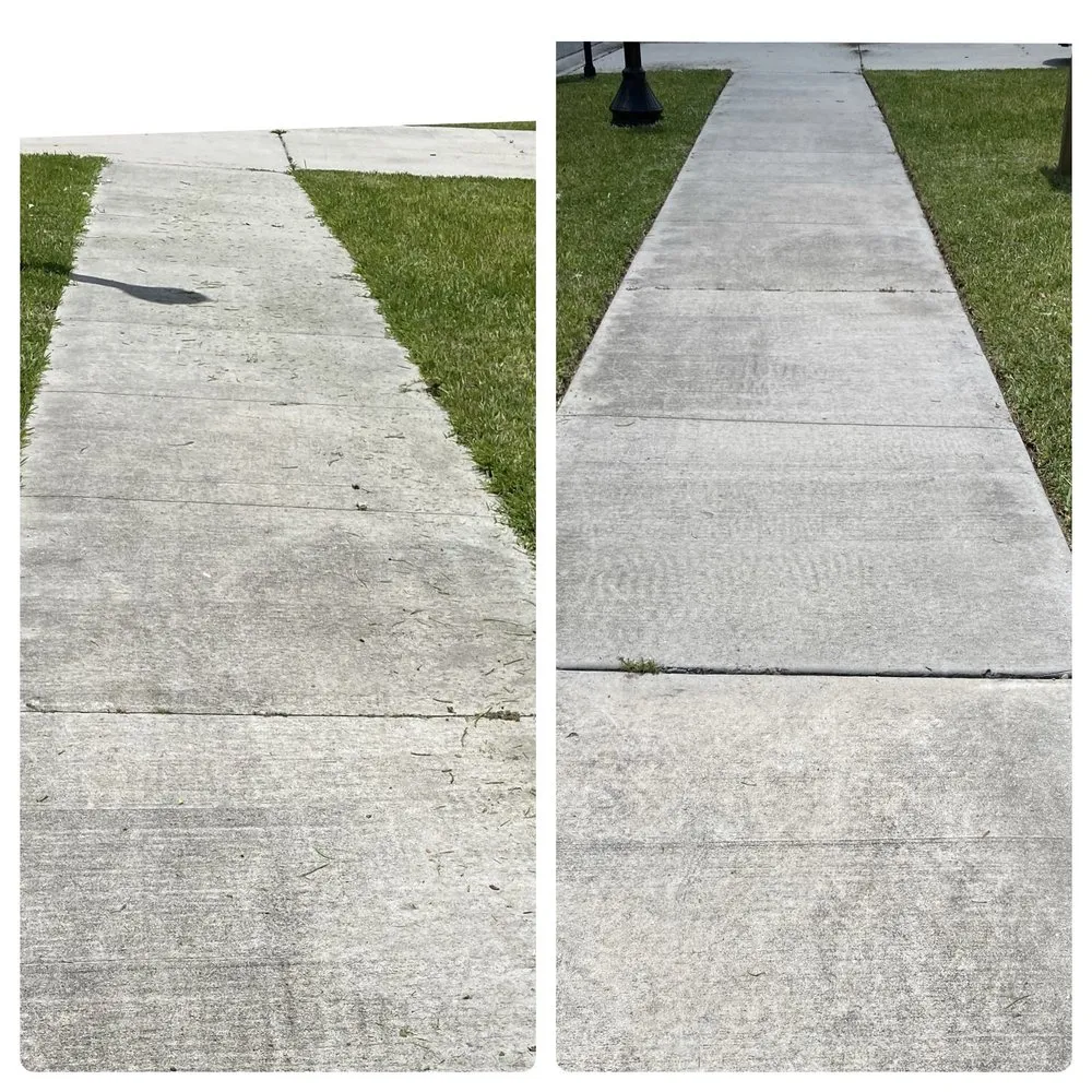 Reliable yard cleanup service in Tampa, FL by AAIM Pro Lawns