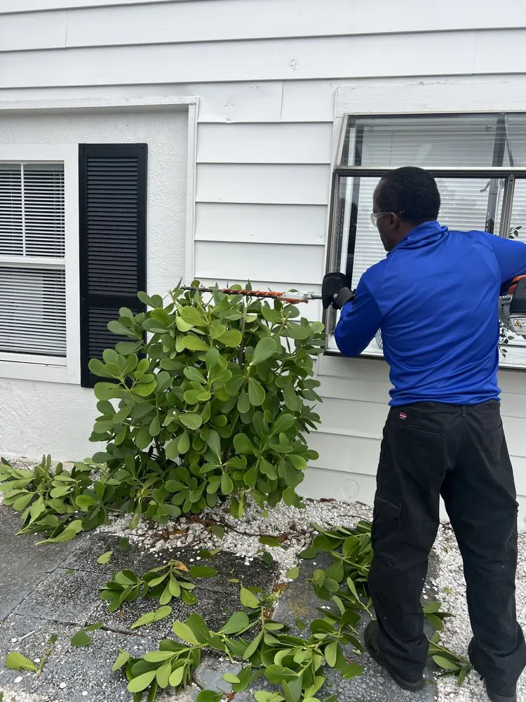 Expert outdoor landscaping for homes across Tampa, FL - AAIM Pro Lawns