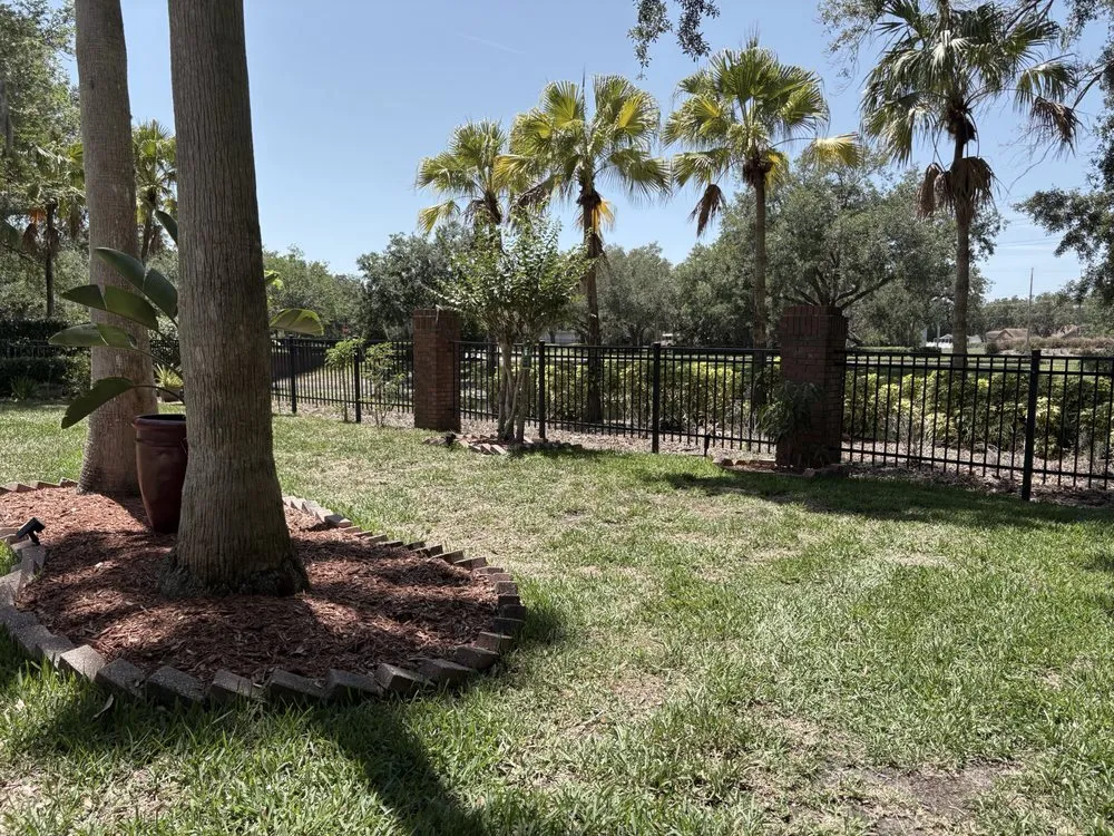 Custom yard cleanup service for outdoor upgrades across Tampa, FL - AAIM Pro Lawns