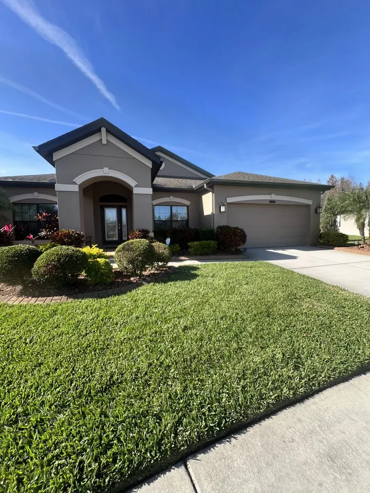 Top-rated landscape design in Tampa, FL - AAIM Pro Lawns