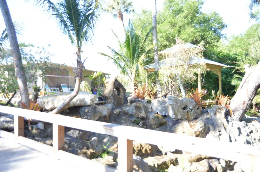 Reliable outdoor landscaping in Osprey, FL - AAL by Frank Gabry