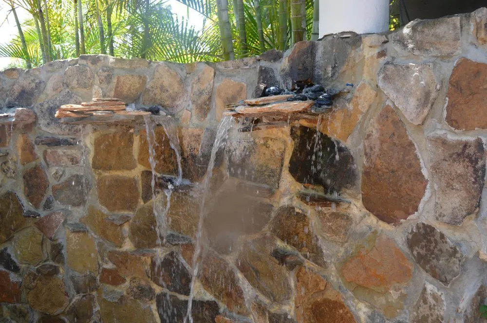 Expert yard maintenance experts serving Osprey, FL - AAL by Frank Gabry