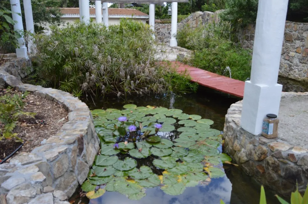 Trusted residential landscaping for homes across Osprey, FL - AAL by Frank Gabry