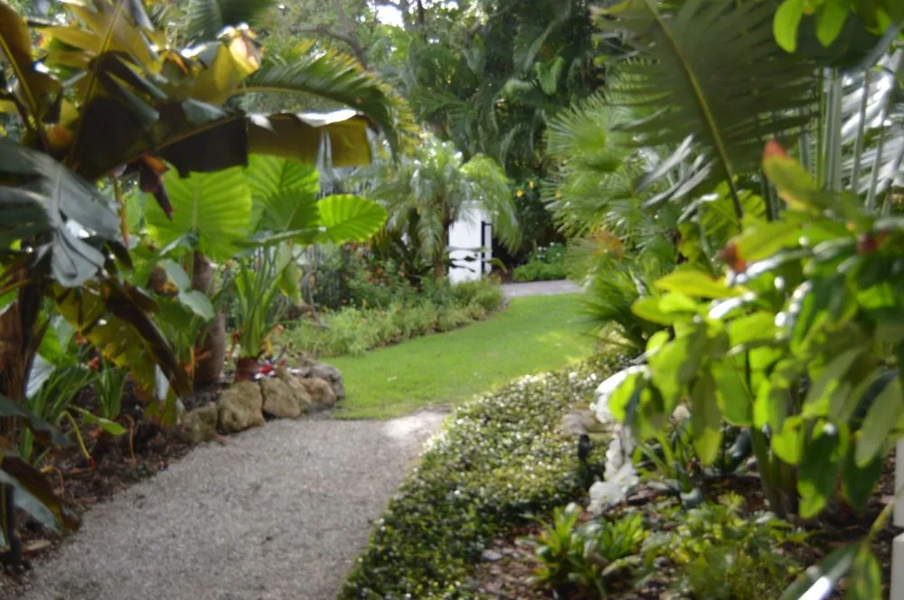 Custom yard cleanup service in Osprey, FL by AAL by Frank Gabry