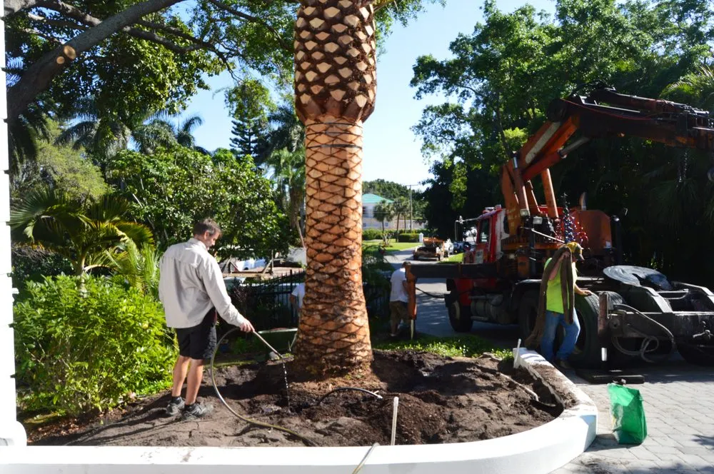 Top-rated garden landscaping near you across Osprey, FL - AAL by Frank Gabry