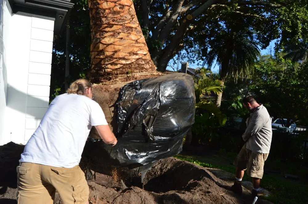 Top-rated landscape installation for outdoor upgrades in Osprey, FL by AAL by Frank Gabry