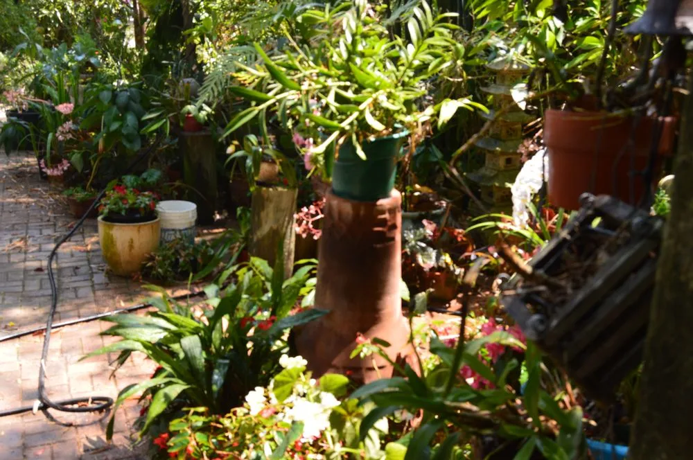 Trusted garden landscaping in Osprey, FL - AAL by Frank Gabry