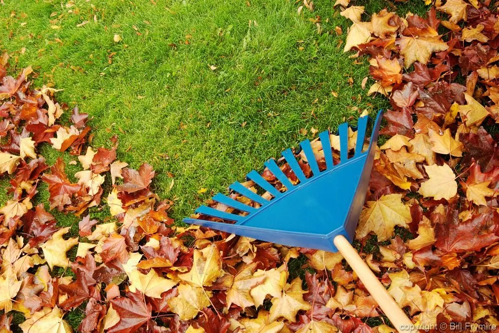 Top-rated yard maintenance for outdoor upgrades in Cedar Creek, TX by AAL Services
