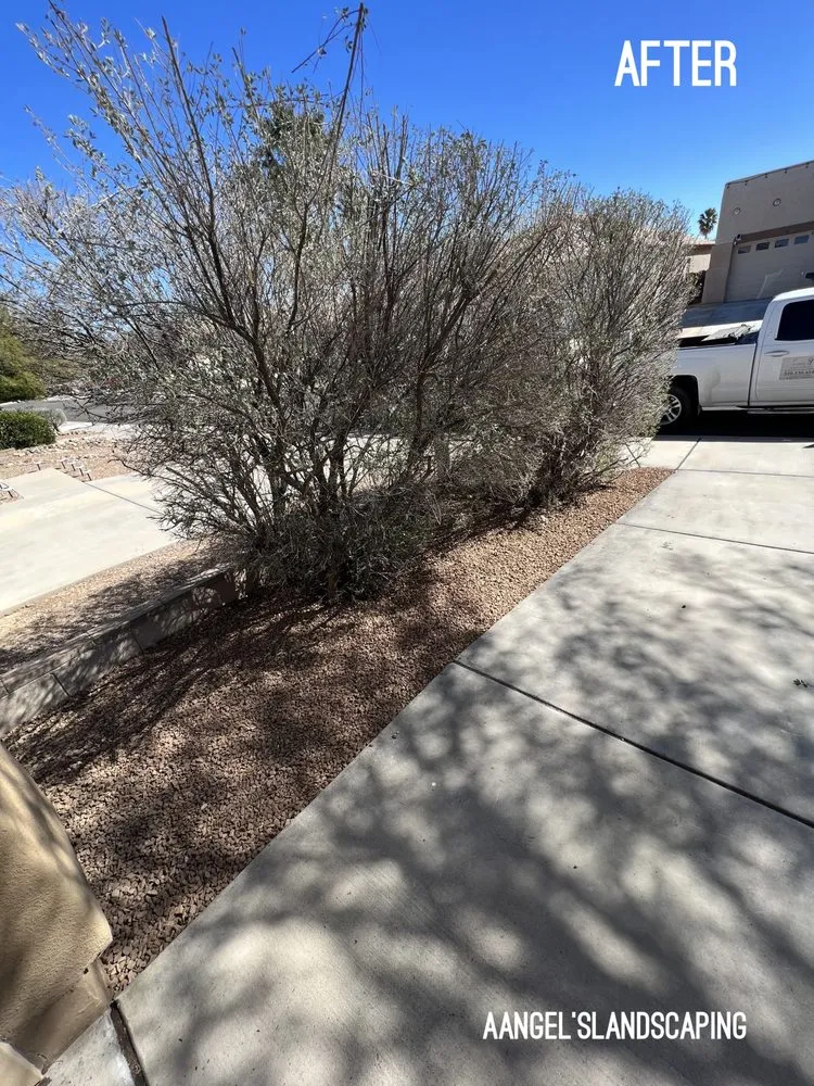 Custom residential landscaping in Oro Valley, AZ - Aangel’s Landscaping