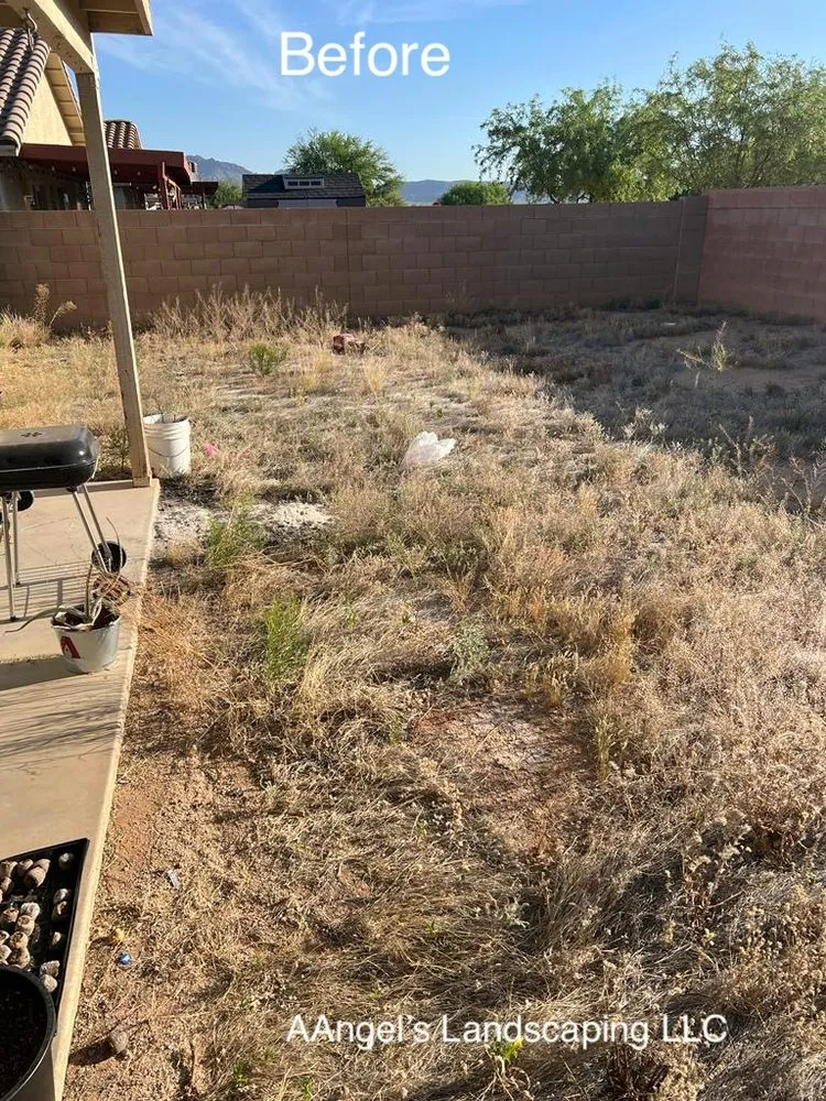 Professional outdoor landscaping in Oro Valley, AZ by Aangel’s Landscaping