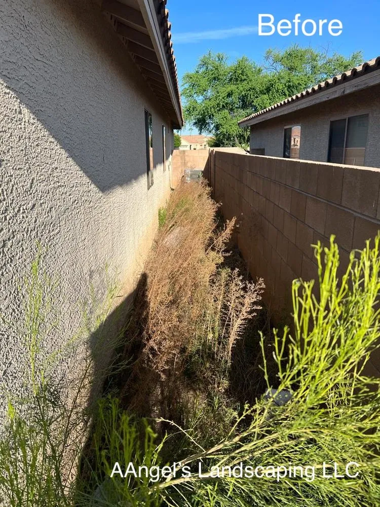 Reliable landscape design in Oro Valley, AZ - Aangel’s Landscaping