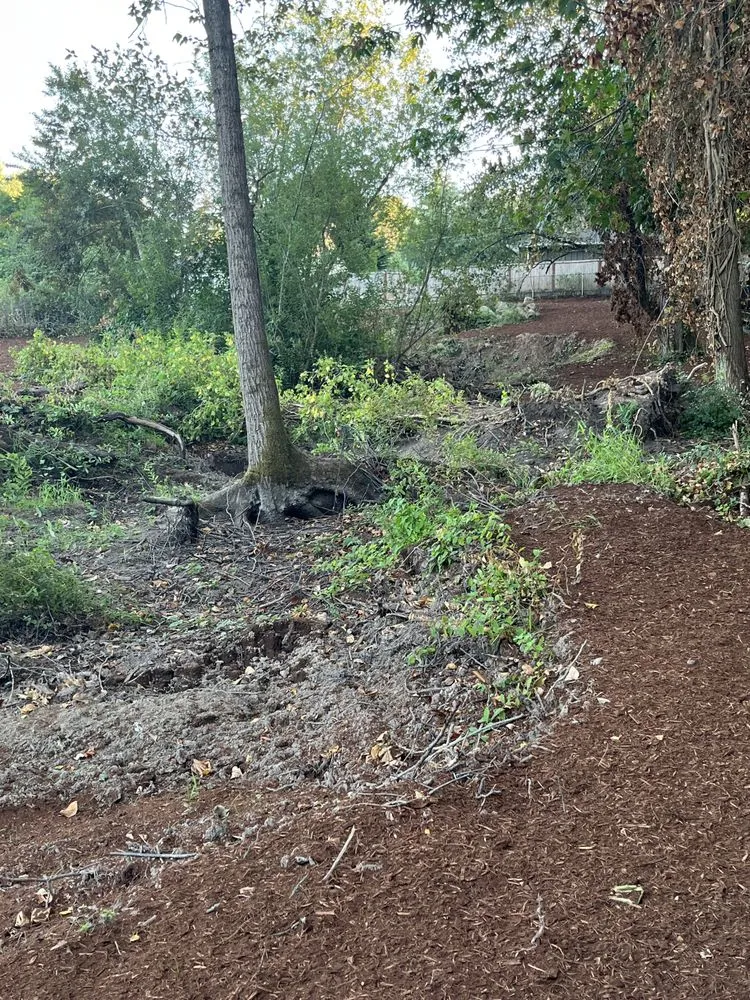 Professional lawn mowing service for outdoor upgrades in Tacoma, WA by Aardvark Bark Blowing & Landscape Services