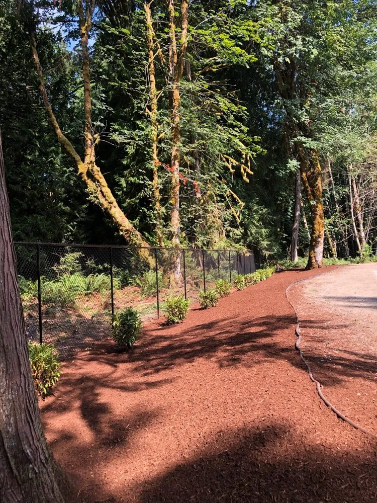Professional outdoor landscaping experts serving Tacoma, WA - Aardvark Bark Blowing & Landscape Services