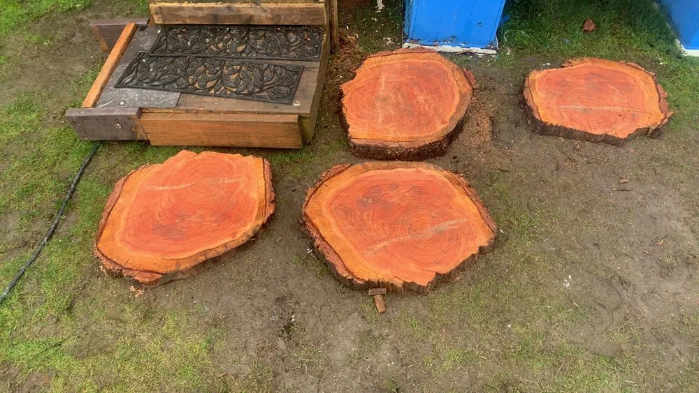 Custom outdoor landscaping for homes in Sequim, WA by Aaron & Ashley’s Services