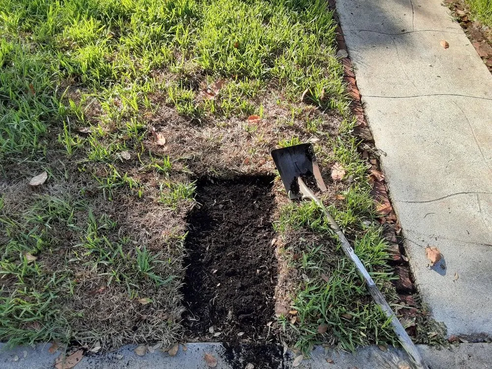 Custom yard maintenance with custom design across Miami, FL - Aaron Agriculture