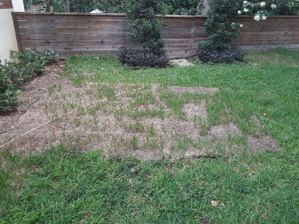 Trusted lawn care service with custom design across Miami, FL - Aaron Agriculture