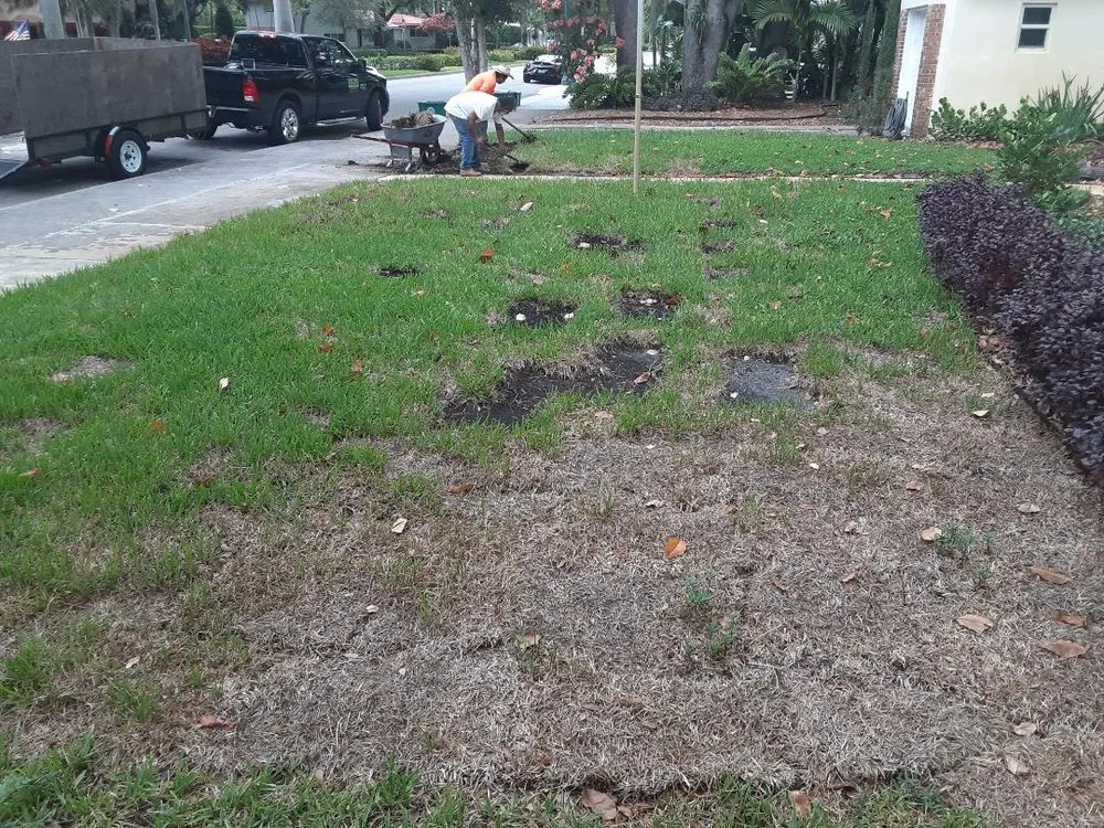Top-rated landscaping services in Miami, FL by Aaron Agriculture