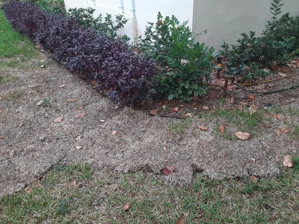 Custom lawn mowing service in Miami, FL - Aaron Agriculture