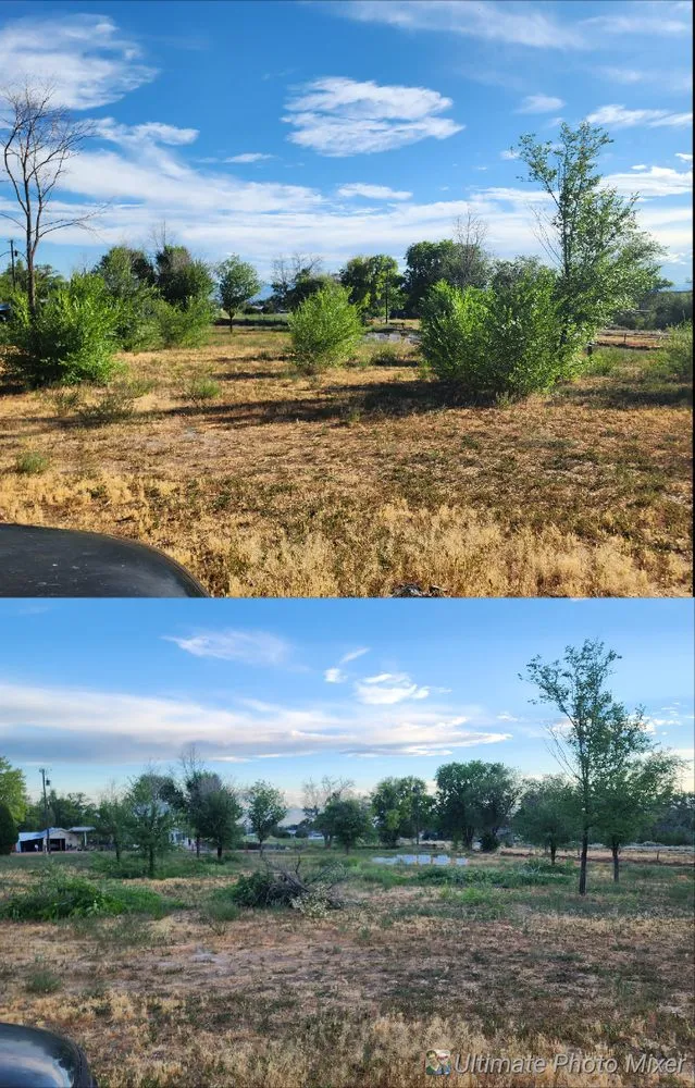 Top-rated residential landscaping near you in Delta, CO by Aaron And Sons Mowing