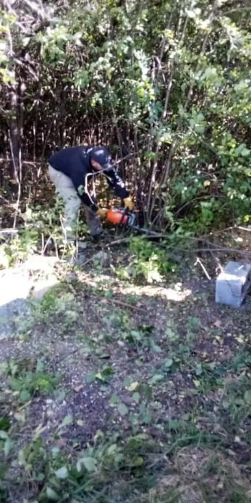 Local landscape design in Clearville, PA - Aaron and son's property maintenance