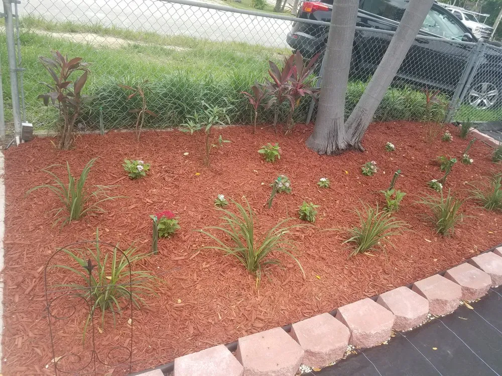 Reliable lawn mowing service for residential properties in Key Largo, FL by Aaron Beyer's Lawn Maintenance