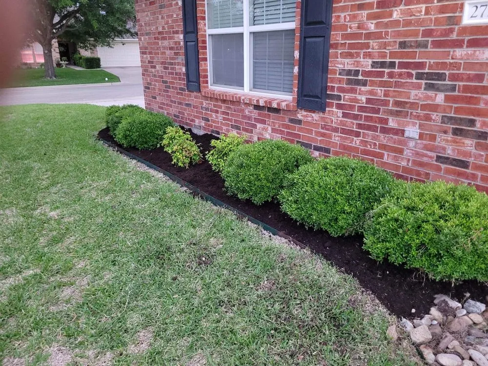 Local lawn care service for residential properties in Temple, TX by Aaron Frost Lawn Care