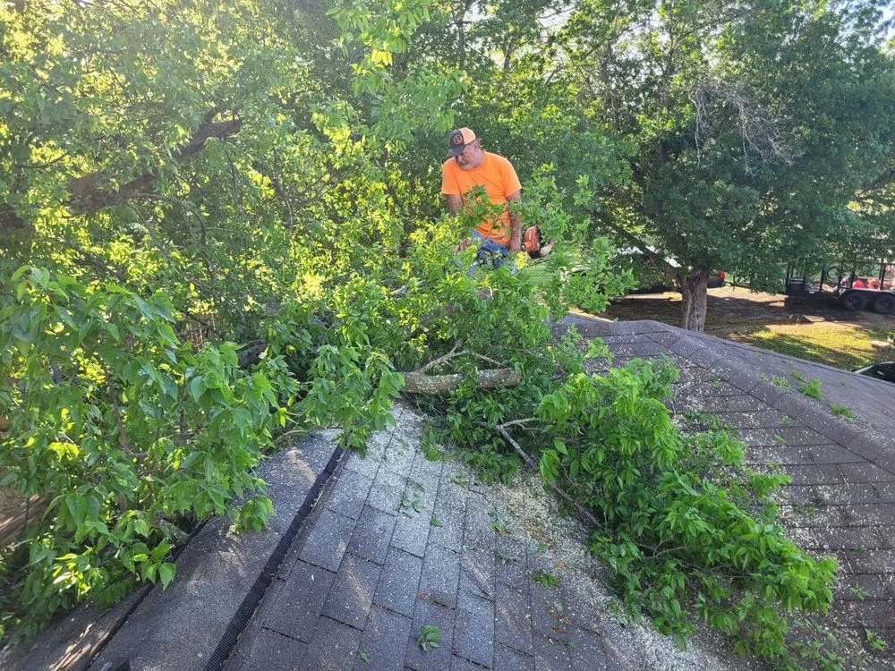 Local lawn care service experts serving Temple, TX - Aaron Frost Lawn Care