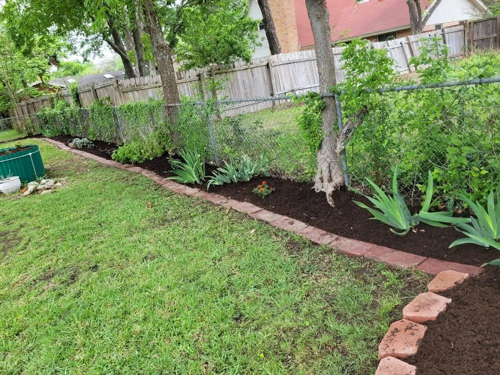 Trusted lawn care service in Temple, TX - Aaron Frost Lawn Care