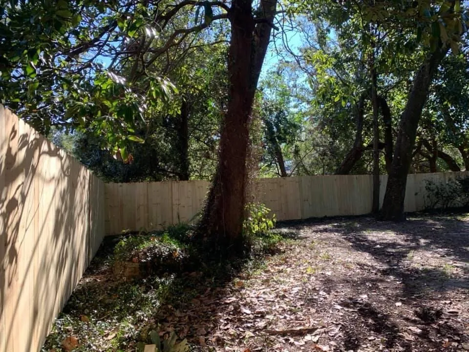 Local yard cleanup service in Milton, FL - Aaron hamm handyman services