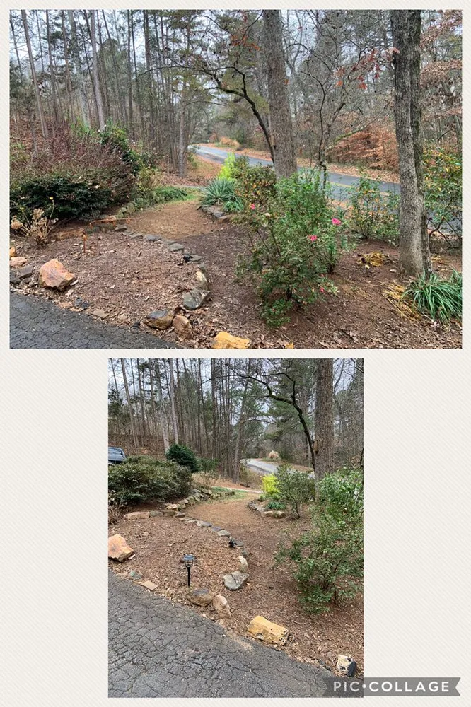 Affordable landscaping services for year-round maintenance across Seneca, SC - Aaron Handyman