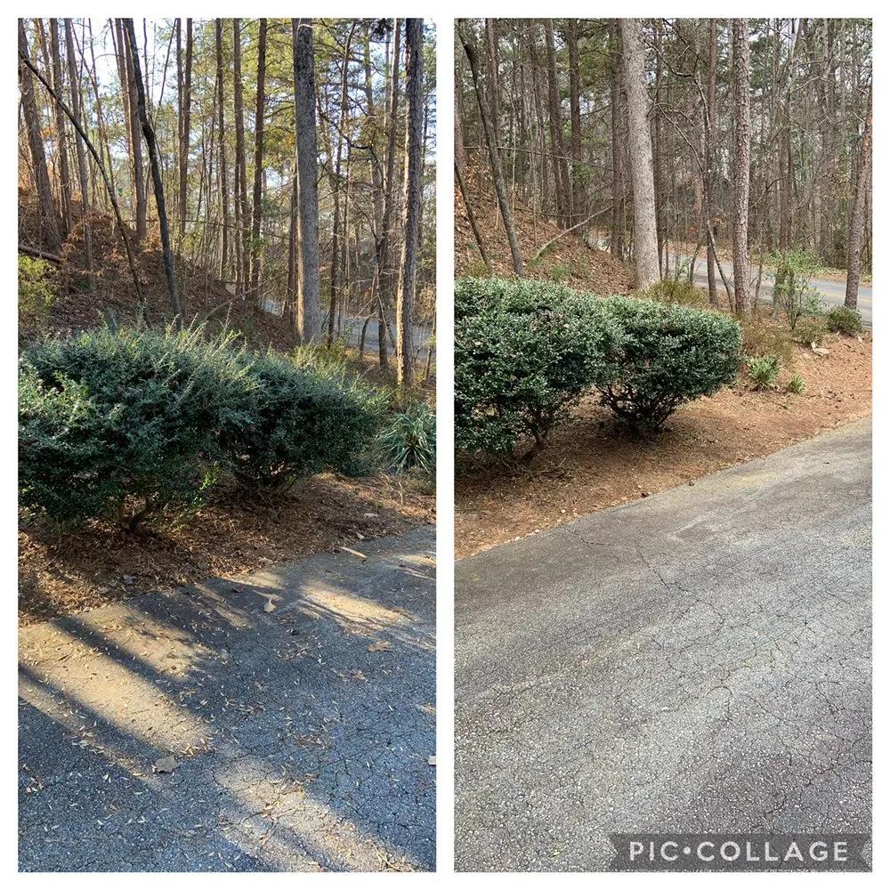 Local lawn mowing service in Seneca, SC by Aaron Handyman