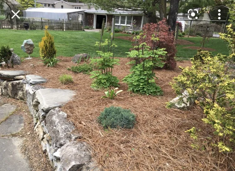 Affordable landscape design experts serving Seneca, SC - Aaron Handyman