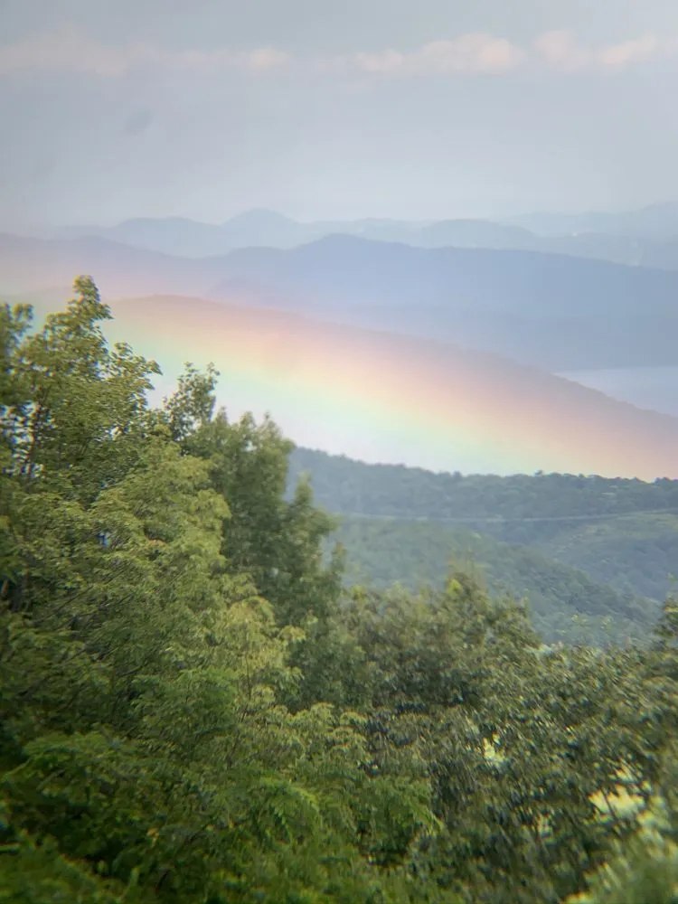 Local yard maintenance in Seneca, SC - Aaron Handyman