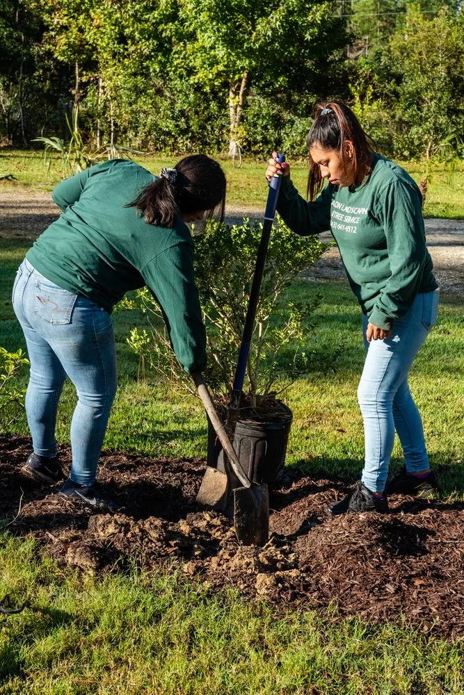 Expert landscape design in Ravenel, SC by Aaron Landscaping & Tree Services