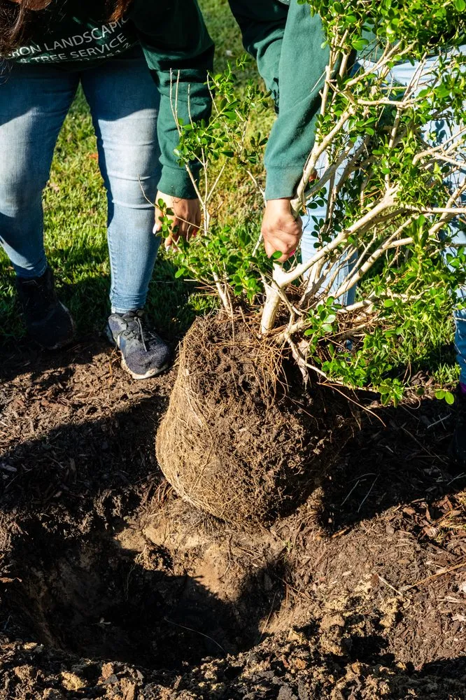 Custom garden landscaping for outdoor upgrades in Ravenel, SC by Aaron Landscaping & Tree Services