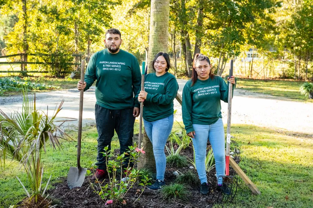 Top-rated lawn mowing service for beautiful yards across Ravenel, SC - Aaron Landscaping & Tree Services