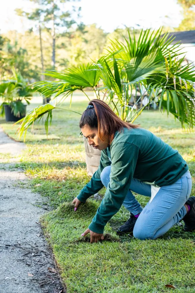 Affordable landscape installation near you in Ravenel, SC by Aaron Landscaping & Tree Services