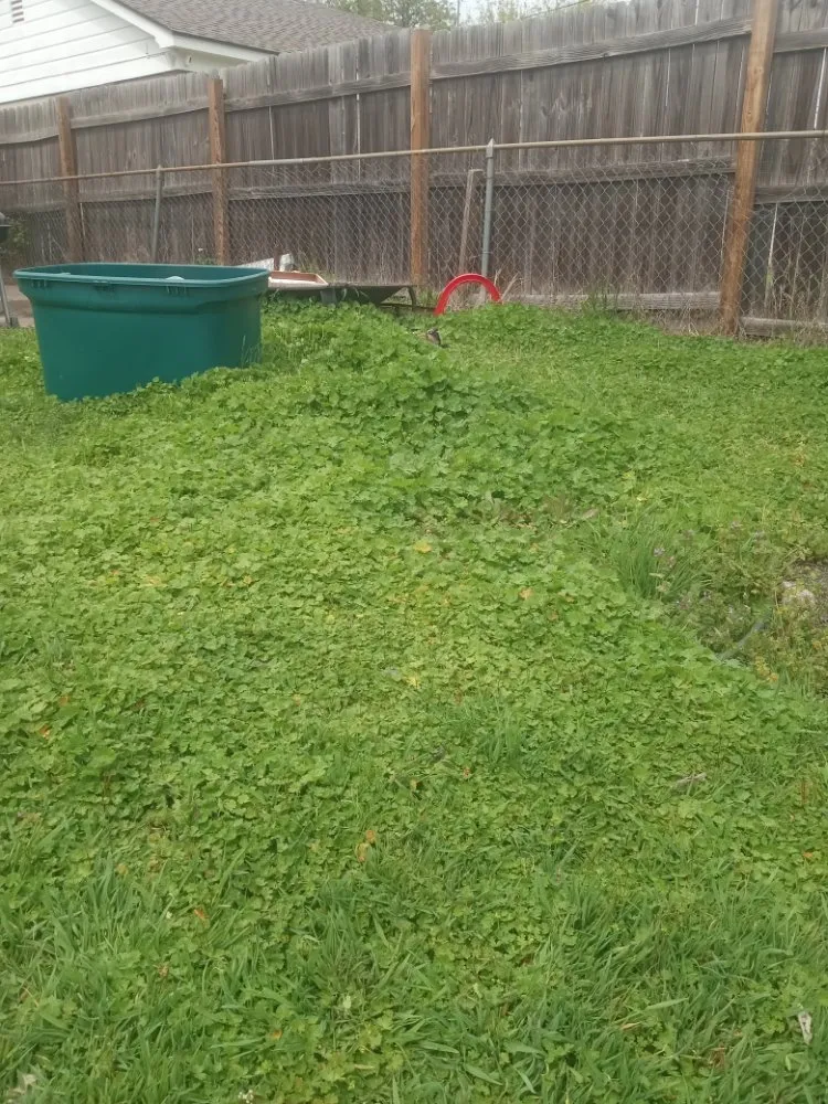 Expert landscape design in Lawton, OK - Aaron Mowing