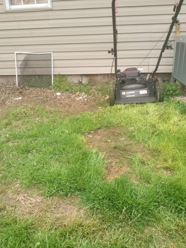 Affordable yard cleanup service in Lawton, OK by Aaron Mowing