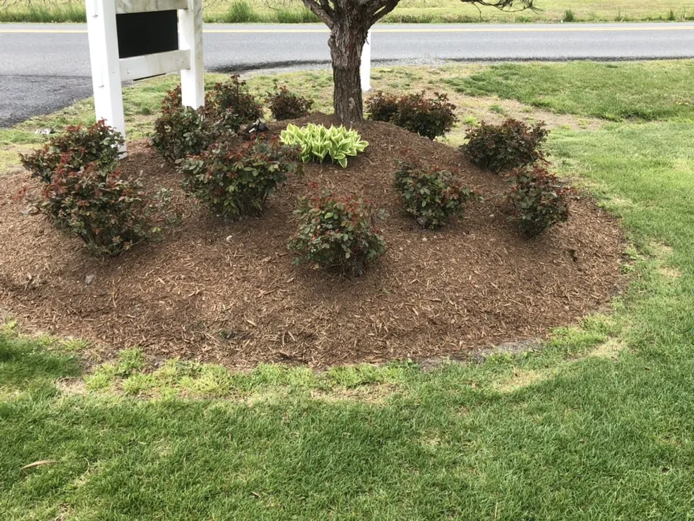 Top-rated garden landscaping experts serving Milton, DE - Aaron Senturk